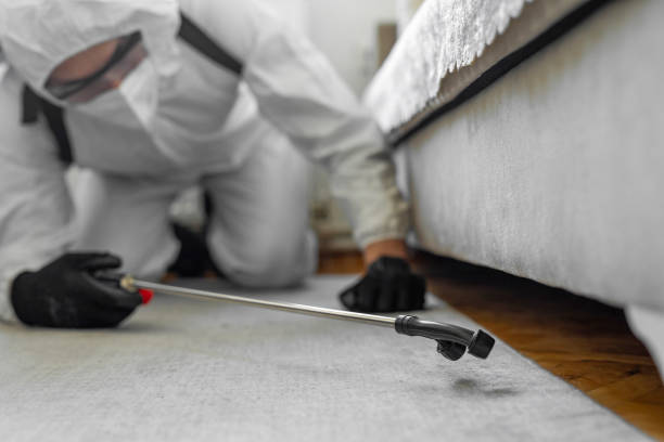 Professional Termite Control technician working in Surf City, NJ