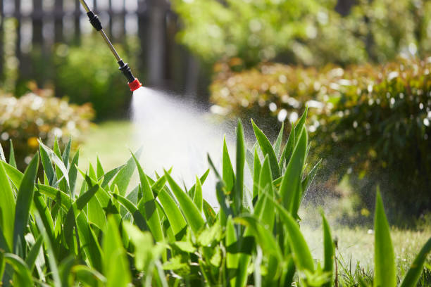 24/7 Emergency Termite Control experts in Surf City, NJ